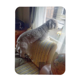 スモーキー マグネット