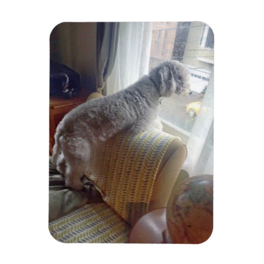 スモーキー マグネット (縦)