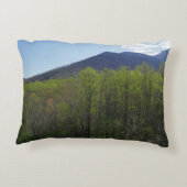 スモークの山々の春風景 アクセントクッション (裏面)