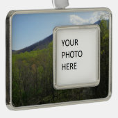 スモークの山々の春風景 シルバープレートフレームオーナメント (右)