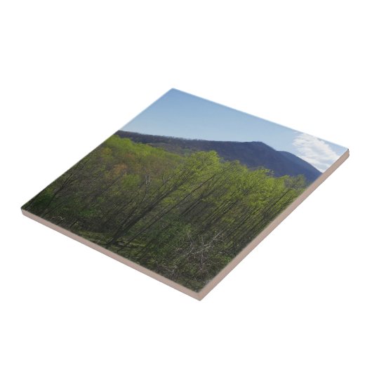 スモークの山々の春風景 タイル (側面)