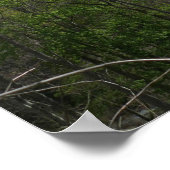 スモークの山々の春風景 ポスター (角)