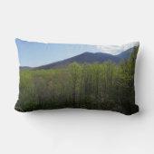 スモークの山々の春風景 ランバークッション (裏面)