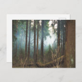 スモークウッズのはがき ポストカード (正面/裏面)