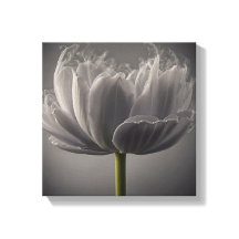 スモークチューリップ