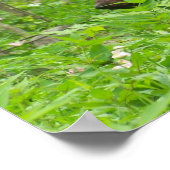 スモークベア ポスター (角)