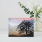 スモークマウンテンサンセットブルーリッジパークウェイ写真 ポストカード (スタンド正面)