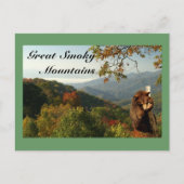 スモークマウンテンブラックベア ポストカード (正面)