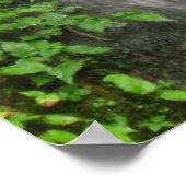 スモーク山脈の滝 ポスター (角)