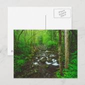 スモーク素晴らしの山 ポストカード (正面/裏面)