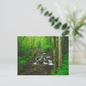 スモーク素晴らしの山 ポストカード (スタンド正面)