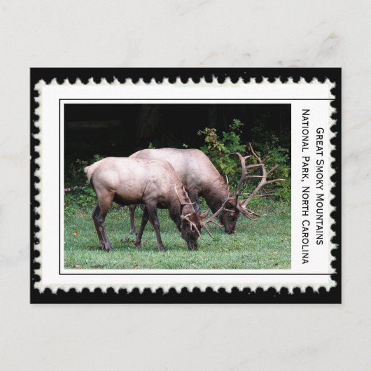 スモーク素晴らしの山 ポストカード (正面)