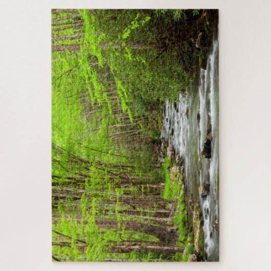 スモーク素晴らしキーマウンテンズナショナルパークノースカロライナ ジグソーパズル (縦)