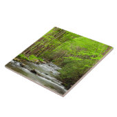 スモーク素晴らしキーマウンテンズナショナルパークノースカロライナ タイル (側面)