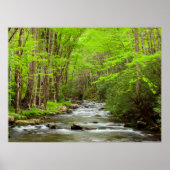 スモーク素晴らしキーマウンテンズナショナルパークノースカロライナ ポスター (正面)