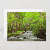 スモーク素晴らしキーマウンテンズナショナルパークノースカロライナ ポストカード (正面/裏面)