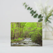 スモーク素晴らしキーマウンテンズナショナルパークノースカロライナ ポストカード (スタンド正面)