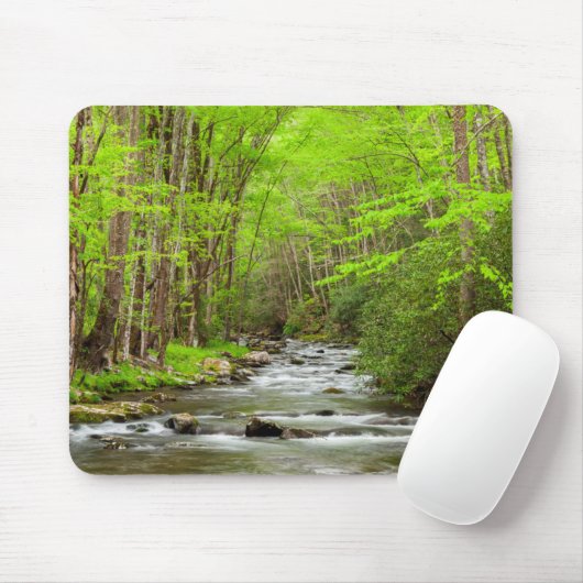 スモーク素晴らしキーマウンテンズナショナルパークノースカロライナ マウスパッド (マウス)