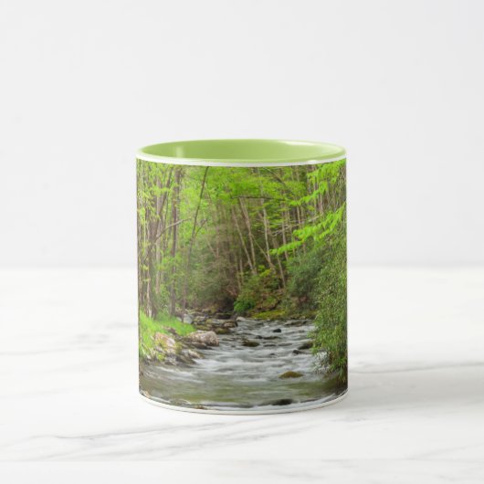 スモーク素晴らしキーマウンテンズナショナルパークノースカロライナ マグカップ (中央)