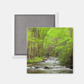 スモーク素晴らしキーマウンテンズナショナルパークノースカロライナ マグネット (正面/裏面)