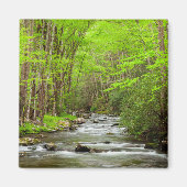 スモーク素晴らしキーマウンテンズナショナルパークノースカロライナ マグネット (正面)