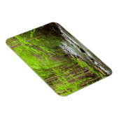 スモーク素晴らしキーマウンテンズナショナルパークノースカロライナ マグネット (右側)