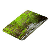 スモーク素晴らしキーマウンテンズナショナルパークノースカロライナ マグネット (左側)