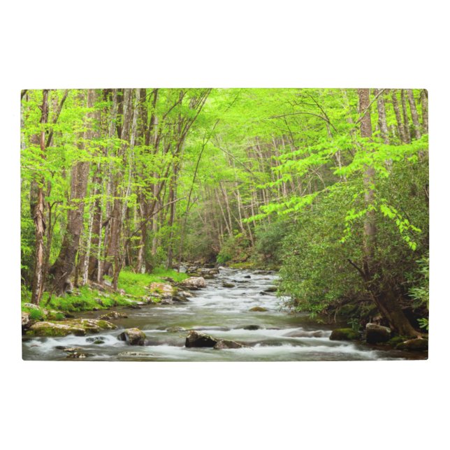 スモーク素晴らしキーマウンテンズナショナルパークノースカロライナ メタルプリント (正面)