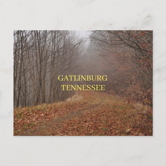 スモーク素晴らしマウンテンズガトリンバーグテネシー ポストカード (正面)