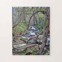 スモーク素晴らしマウンテンズナショナルパークストリーム