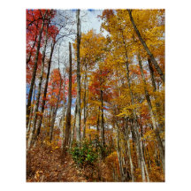 スモーク素晴らしマウンテンズナショナルパーク秋の葉