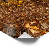 スモーク素晴らしマウンテンズナショナルパーク秋の葉 ポスター (コーナー)