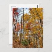 スモーク素晴らしマウンテンズナショナルパーク秋の葉 ポストカード (正面/裏面)