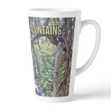 スモーク素晴らしマウンテンズ国立公園