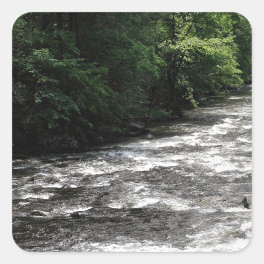 スモーク素晴らしマウンテンズ国立公園 スクエアシール (正面)