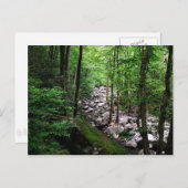 スモーク素晴らしマウンテンズ国立公園 ポストカード (正面/裏面)