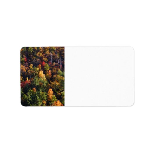 スモーク素晴らしマウンテン国立公園 ラベル (正面)