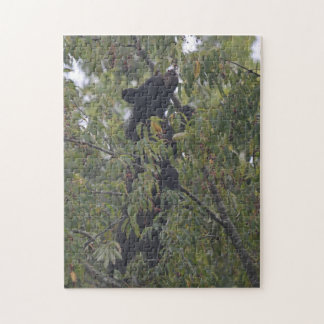 スモーク・マウンテンズベア ジグソーパズル