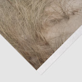 スモールで覆われたビーチハウスデクページ紙 薄葉紙 (詳細)