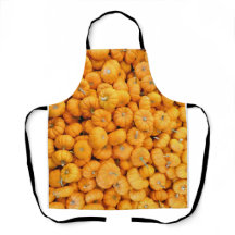 スモールオレンジ秋ハーベストカボチャ