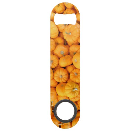 スモールオレンジ秋ハーベストカボチャ スピード栓抜き (正面)