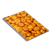 スモールオレンジ秋ハーベストカボチャ ノートブック (右側)