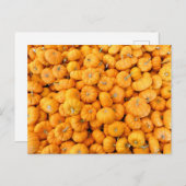 スモールオレンジ秋ハーベストカボチャ ポストカード (正面/裏面)