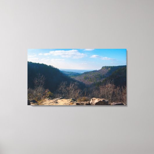 スモールキャニオン、プティジャン州パーク、アーカンソー キャンバスプリント (正面)