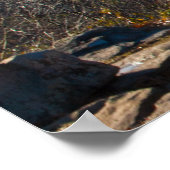 スモールキャニオン、プティジャン州パーク、アーカンソー ポスター (角)