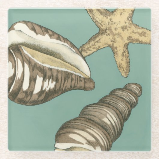 スモールシェルトリオオンティール(緑がかった色) ガラスコースター (正面)