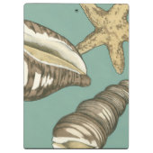 スモールシェルトリオオンティール（緑がかった色） クリップボード (裏面)