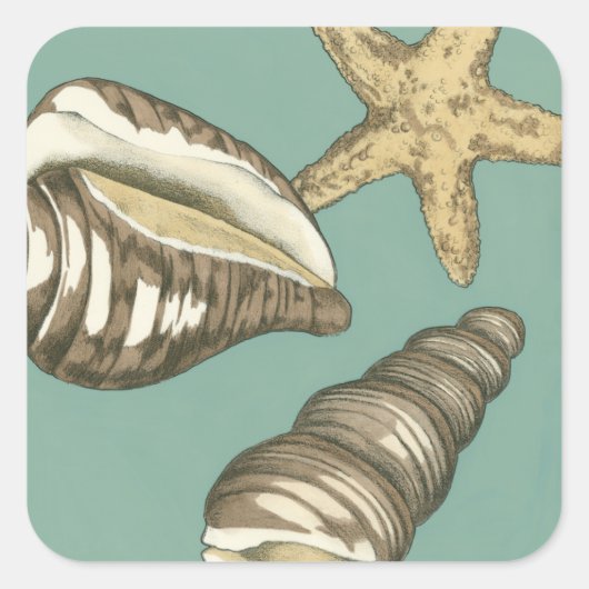 スモールシェルトリオオンティール(緑がかった色) スクエアシール (正面)