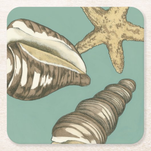 スモールシェルトリオオンティール(緑がかった色) スクエアペーパーコースター (正面)