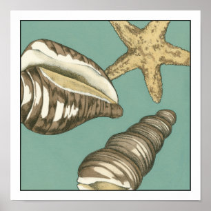 スモールシェルトリオオンティール(緑がかった色) ポスター